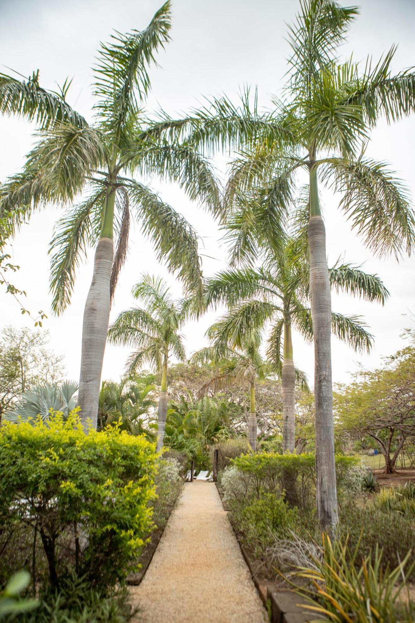 Latica Lodge Playa Negra Exterior foto